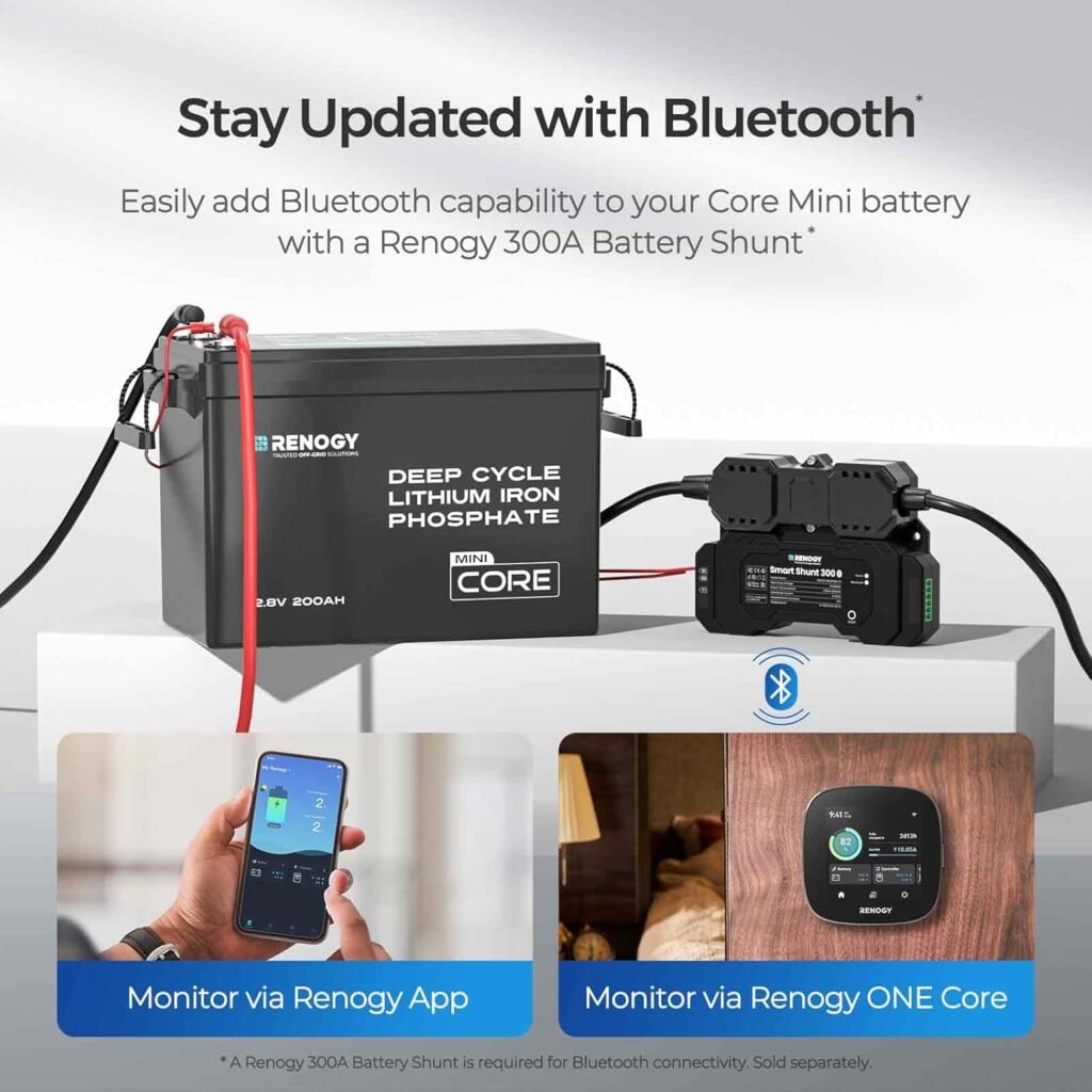 Renogy 200Ah 12V LiFePO4 Lithium Leisure Battery, 200A BMS Low-Temp Protection, with IP65 5000+ Deep Cycles Cycles Perfect for Marine Trolling Motor, Caravans, Home Energy and Off-Grid Application Renogy 200Ah 12V LiFePO4 Lithium Leisure Battery, 200A BMS Low-Temp Protection, with IP65 5000+ Deep Cycles Cycles Perfect for Marine Trolling Motor, Caravans, Home Energy and Off-Grid Application