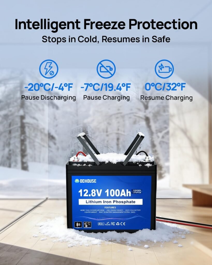 DCHOUSE 12V 100Ah Group Bluetooth LiFePO4 Battery,Low-Temp Protection DCHOUSE 12V 100Ah Group Bluetooth LiFePO4 Battery,Low-Temp Protection