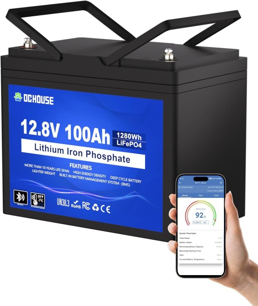 DCHOUSE 12V 100Ah Group Bluetooth LiFePO4 Battery,Low-Temp Protection DCHOUSE 12V 100Ah Group Bluetooth LiFePO4 Battery,Low-Temp Protection