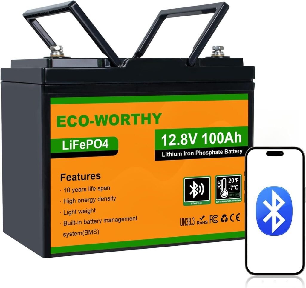 ECO-WORTHY 12V 100Ah LiFePO4 Battery with Bluetooth Low-Temp Cut Off
